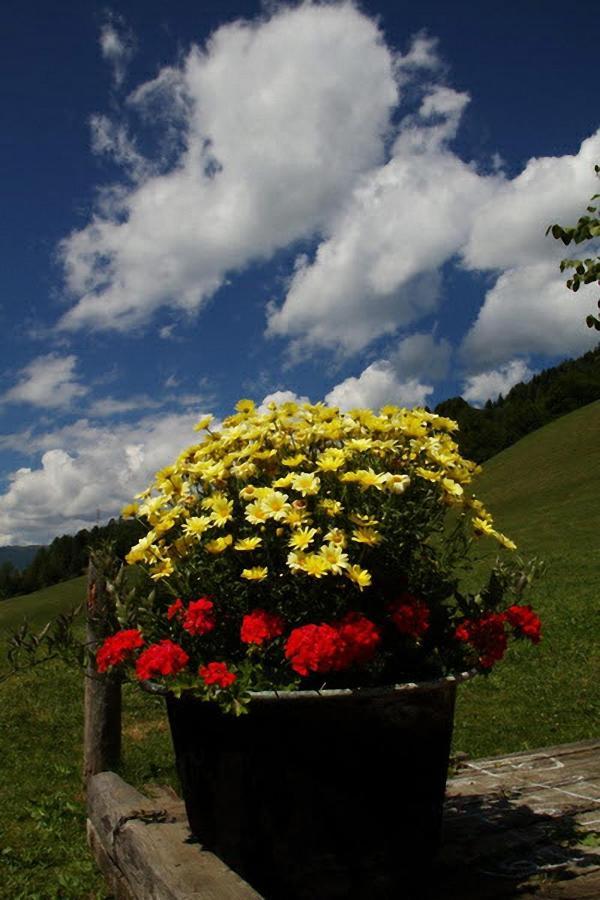 Huettenferien Koeberlhof Sankt Georgen ob Murau Esterno foto