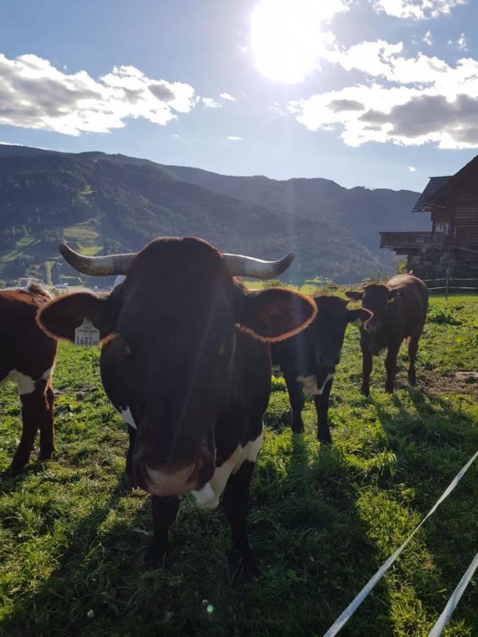 Huettenferien Koeberlhof Sankt Georgen ob Murau Esterno foto